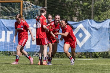 Bild 217 - wBJ Hamburger SV - Hertha BSC : Ergebnis: 5:2